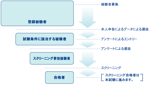 被験者募集・スクリーニング