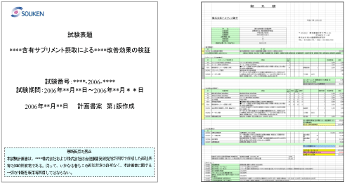 【試験計画書】【正式な御見積り】